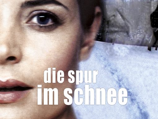 Take Me Home (Die Spur im Schnee)